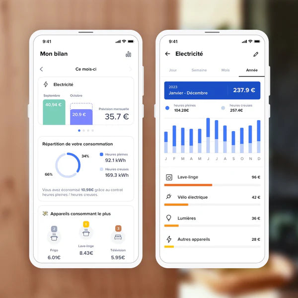 Pack de démarrage "Gestion de l'énergie" Céliane with Netatmo : Prise connectée / Titane
